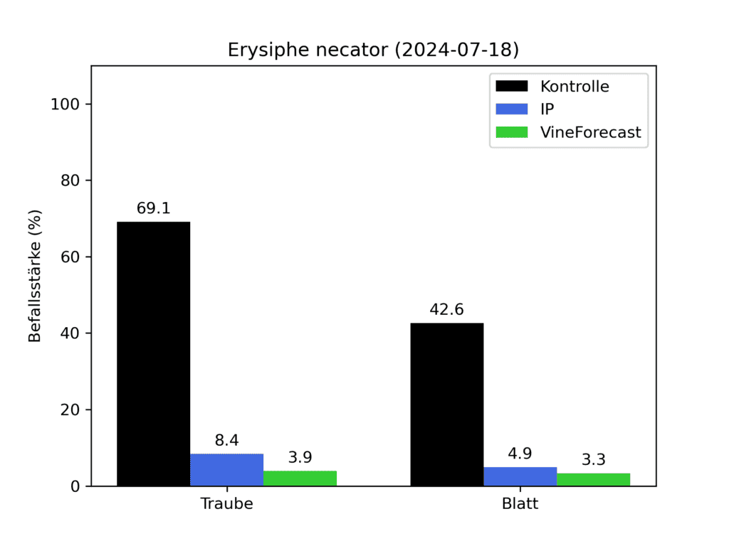 Versuchsergebnisse Oidium