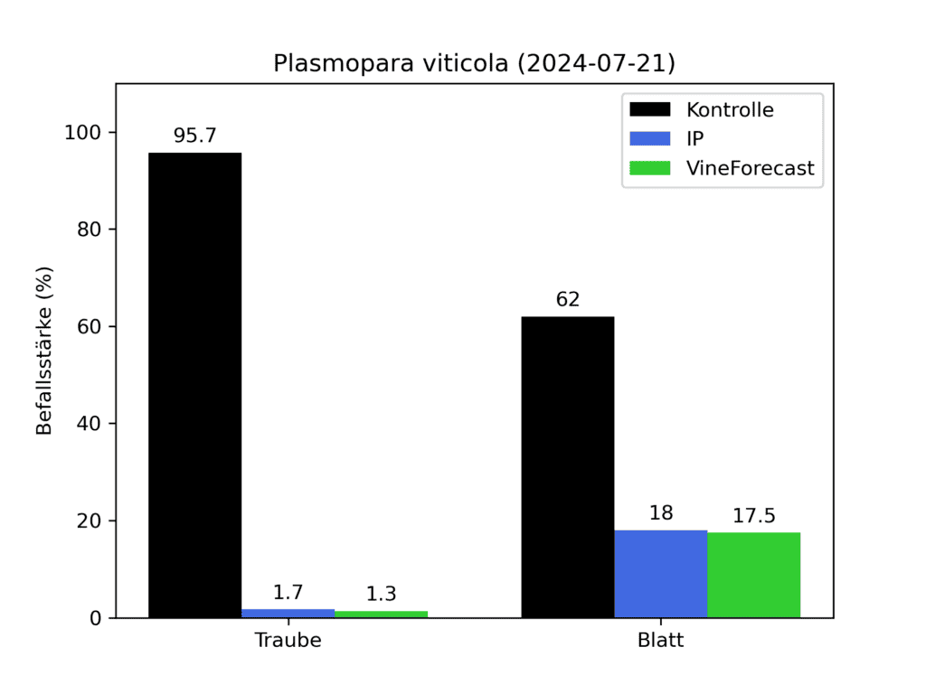 Versuchsergebnisse Peronospora